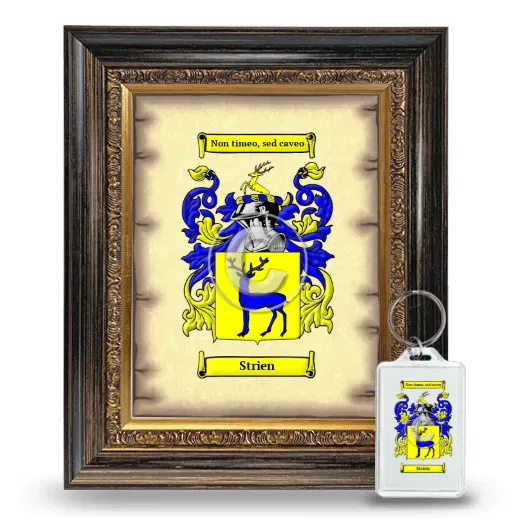 Strien Framed Coat of Arms and Keychain - Heirloom