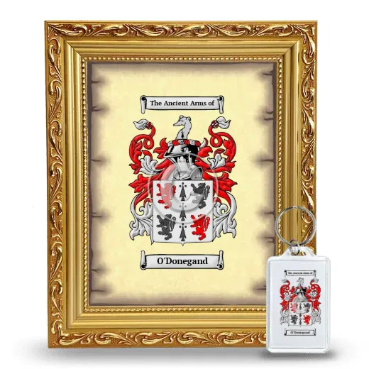 O'Donegand Framed Coat of Arms and Keychain - Gold
