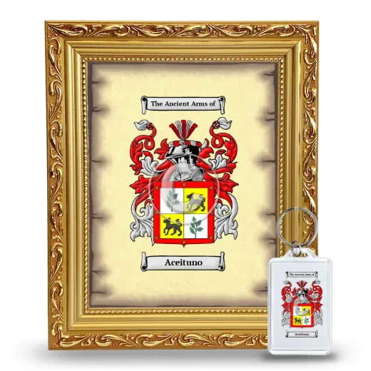 Aceituno Framed Coat of Arms and Keychain - Gold