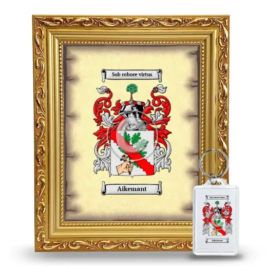 Aikemant Framed Coat of Arms and Keychain - Gold