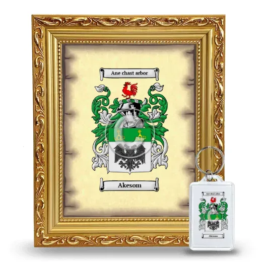 Akesom Framed Coat of Arms and Keychain - Gold