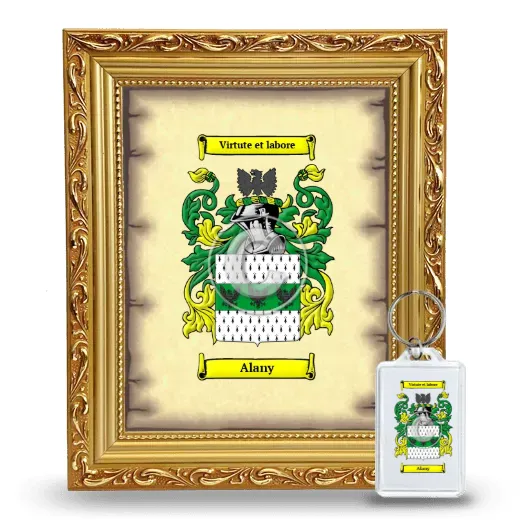 Alany Framed Coat of Arms and Keychain - Gold
