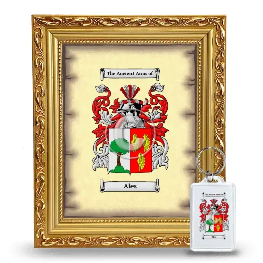 Ales Framed Coat of Arms and Keychain - Gold