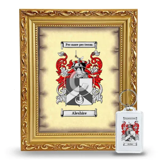 Aleshire Framed Coat of Arms and Keychain - Gold