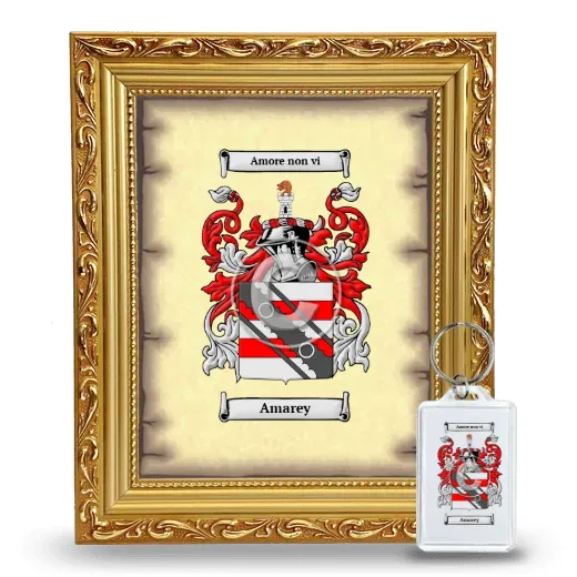 Amarey Framed Coat of Arms and Keychain - Gold