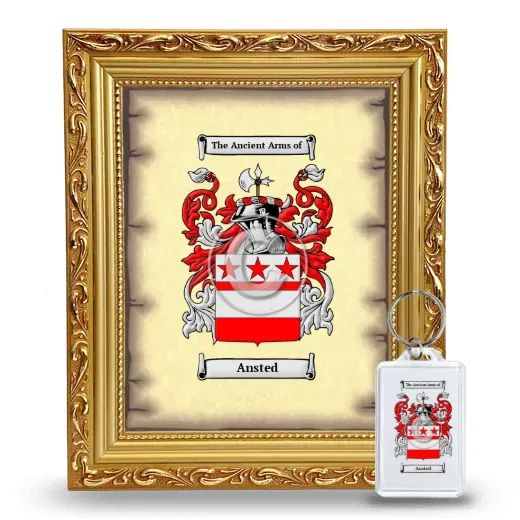 Ansted Framed Coat of Arms and Keychain - Gold