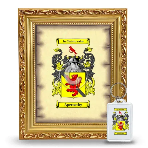 Apernethy Framed Coat of Arms and Keychain - Gold