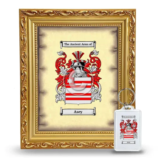 Asey Framed Coat of Arms and Keychain - Gold