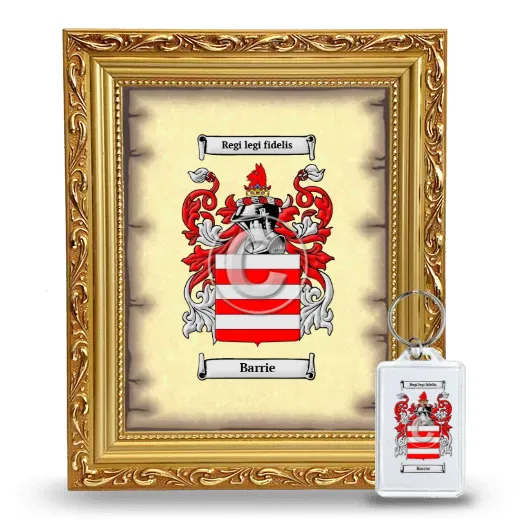 Barrie Framed Coat of Arms and Keychain - Gold