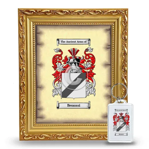 Benussi Framed Coat of Arms and Keychain - Gold