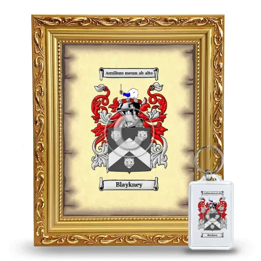 Blaykney Framed Coat of Arms and Keychain - Gold