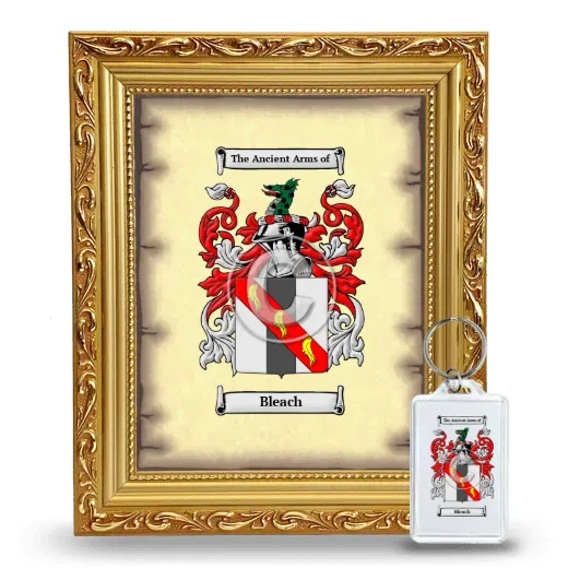 Bleach Framed Coat of Arms and Keychain - Gold