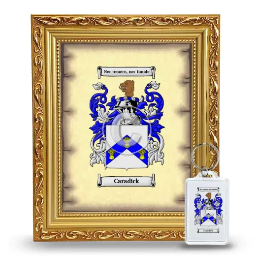Caradick Framed Coat of Arms and Keychain - Gold