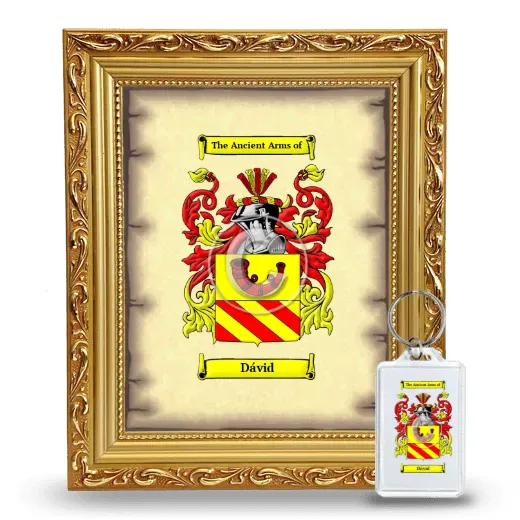 Dávid Framed Coat of Arms and Keychain - Gold