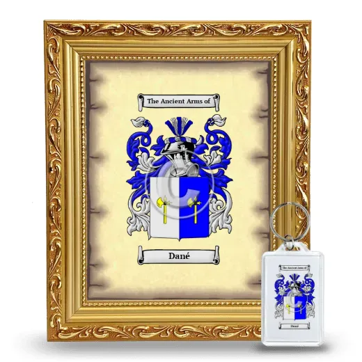 Dané Framed Coat of Arms and Keychain - Gold