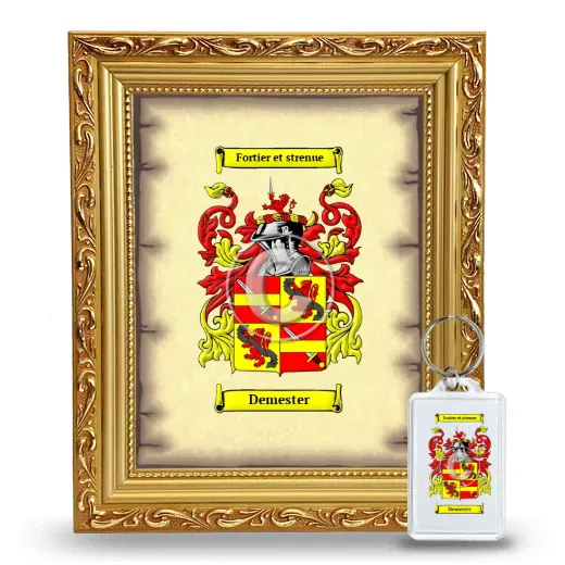 Demester Framed Coat of Arms and Keychain - Gold