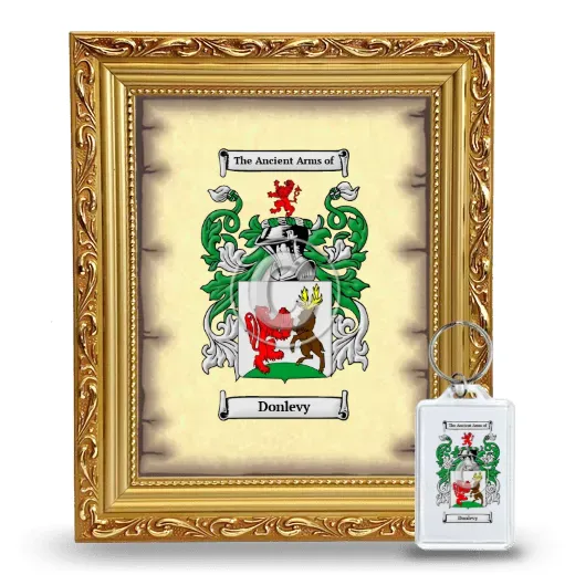 Donlevy Framed Coat of Arms and Keychain - Gold