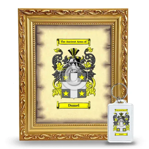 Dumel Framed Coat of Arms and Keychain - Gold