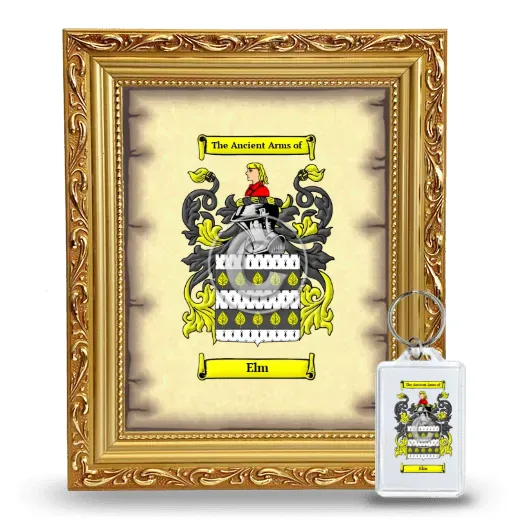 Elm Framed Coat of Arms and Keychain - Gold