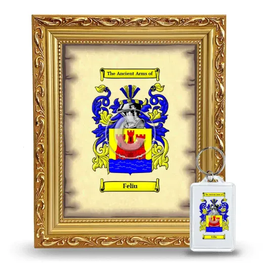 Feliu Framed Coat of Arms and Keychain - Gold