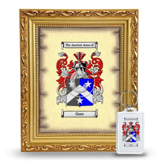 Goss Framed Coat of Arms and Keychain - Gold