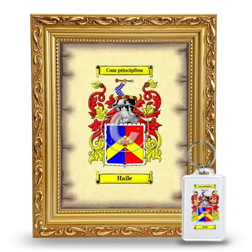 Haile Framed Coat of Arms and Keychain - Gold
