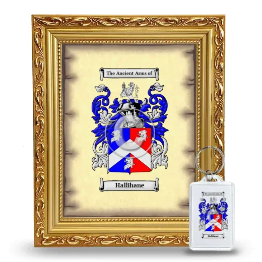 Hallihane Framed Coat of Arms and Keychain - Gold