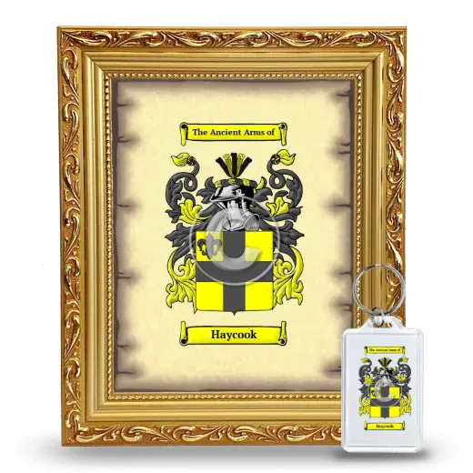 Haycook Framed Coat of Arms and Keychain - Gold