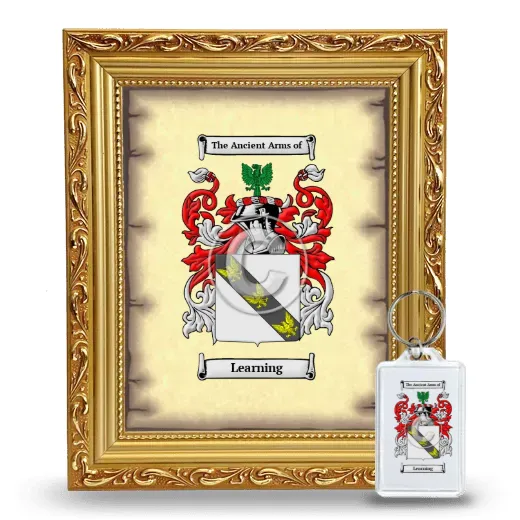 Learning Framed Coat of Arms and Keychain - Gold