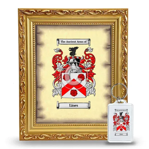 Lines Framed Coat of Arms and Keychain - Gold
