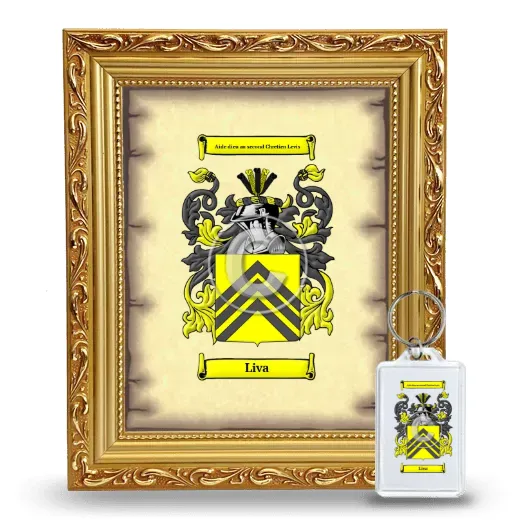 Liva Framed Coat of Arms and Keychain - Gold