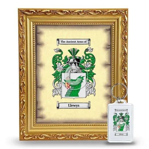 Llewys Framed Coat of Arms and Keychain - Gold
