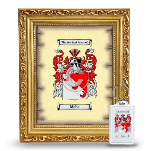 Melia Framed Coat of Arms and Keychain - Gold