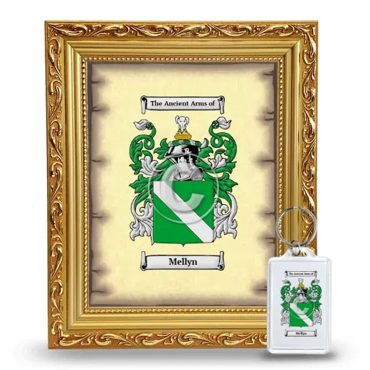 Mellyn Framed Coat of Arms and Keychain - Gold