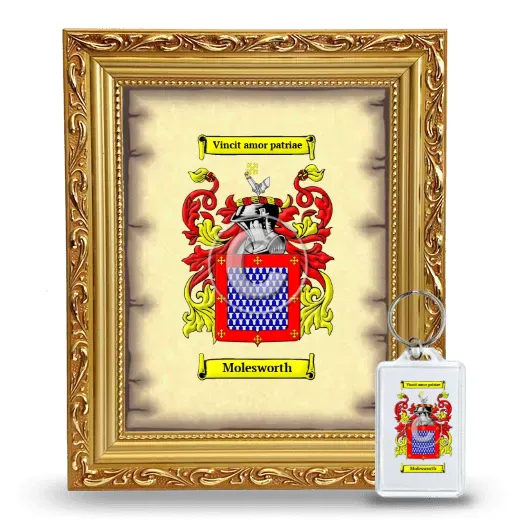 Molesworth Framed Coat of Arms and Keychain - Gold