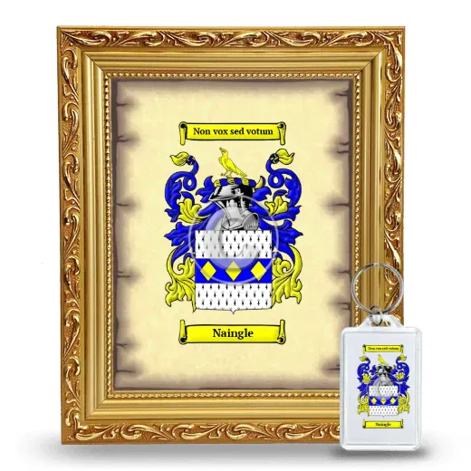 Naingle Framed Coat of Arms and Keychain - Gold