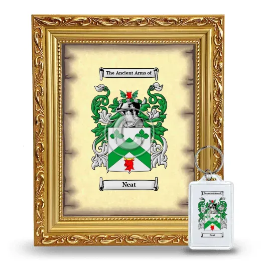 Neat Framed Coat of Arms and Keychain - Gold