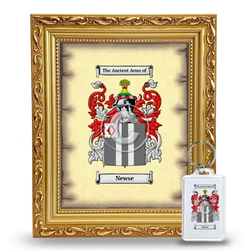 Newse Framed Coat of Arms and Keychain - Gold
