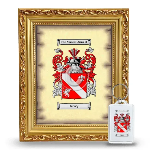 Novy Framed Coat of Arms and Keychain - Gold