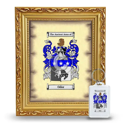 Odor Framed Coat of Arms and Keychain - Gold