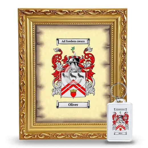 Oliver Framed Coat of Arms and Keychain - Gold