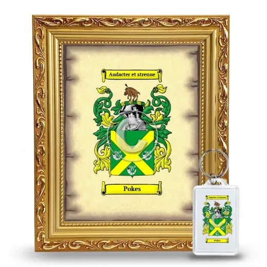 Pokes Framed Coat of Arms and Keychain - Gold
