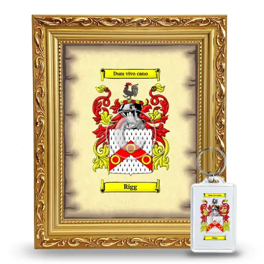 Rigg Framed Coat of Arms and Keychain - Gold