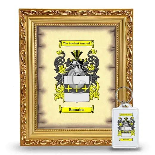 Romains Framed Coat of Arms and Keychain - Gold
