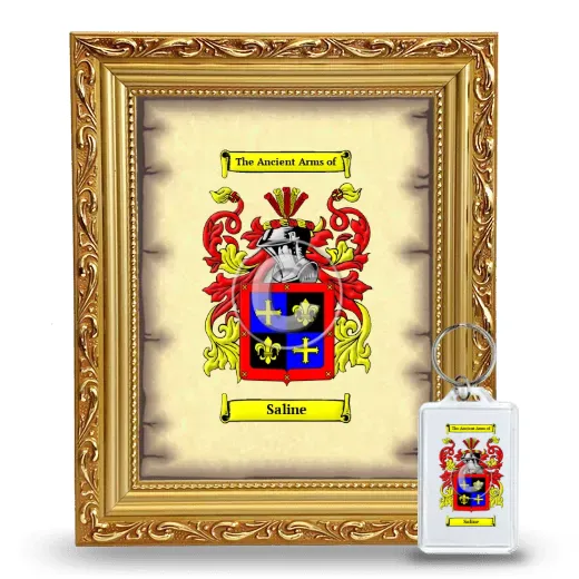 Saline Framed Coat of Arms and Keychain - Gold