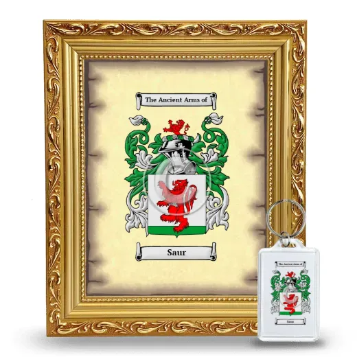 Saur Framed Coat of Arms and Keychain - Gold
