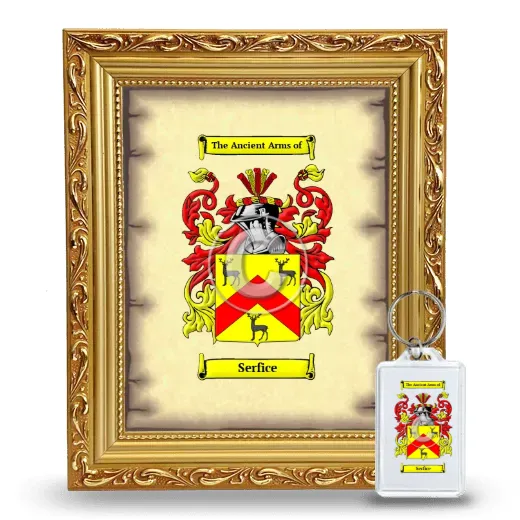 Serfice Framed Coat of Arms and Keychain - Gold