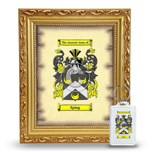 Sping Framed Coat of Arms and Keychain - Gold