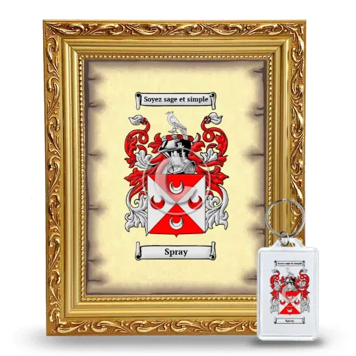 Spray Framed Coat of Arms and Keychain - Gold