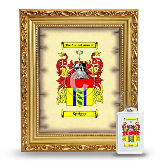 Spriggs Framed Coat of Arms and Keychain - Gold